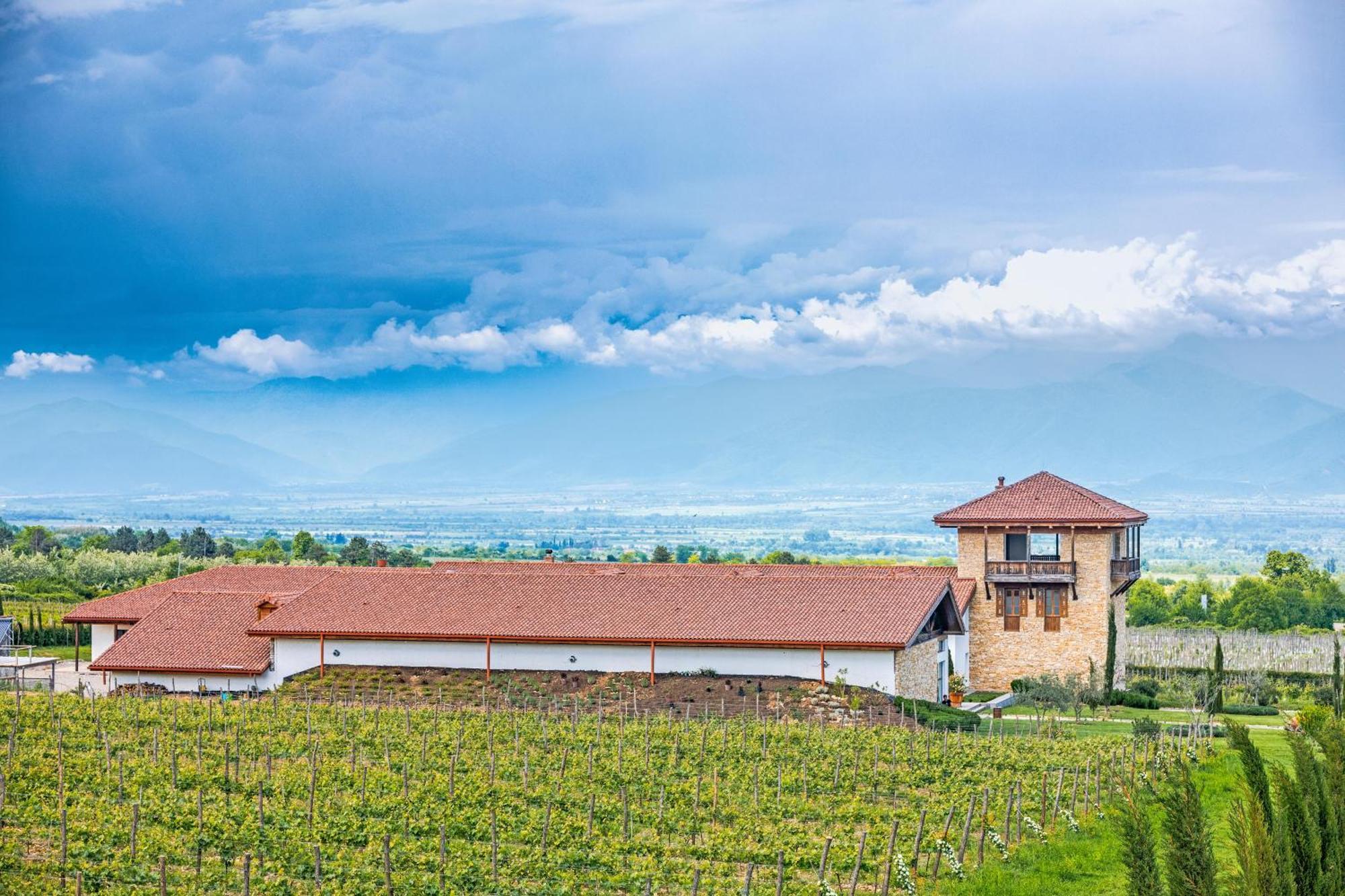 Chateau Mosmieri Hotel & Winery Telawi Zewnętrze zdjęcie