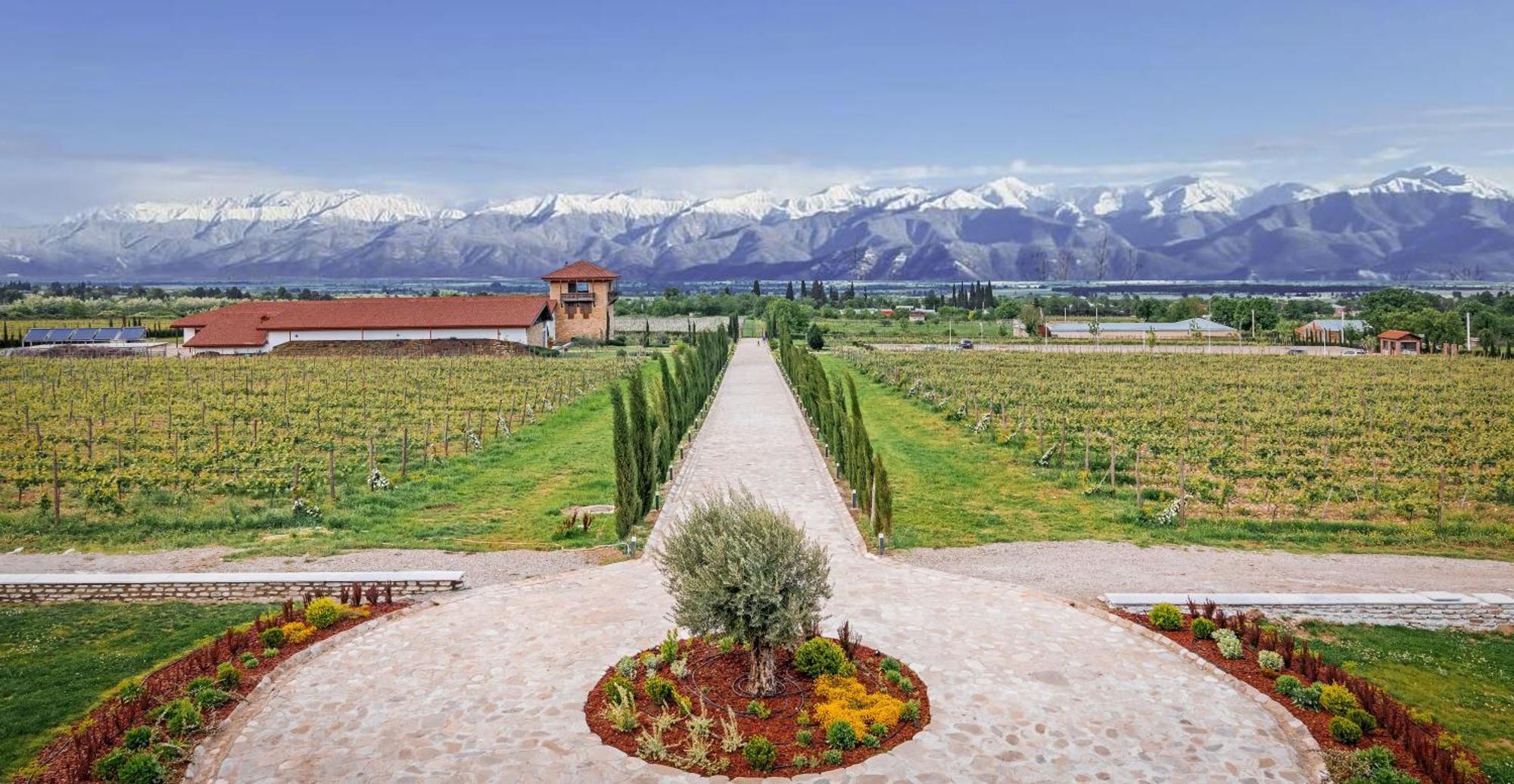 Chateau Mosmieri Hotel & Winery Telawi Zewnętrze zdjęcie